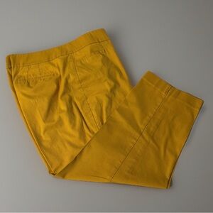 Ann Taylor Women's Mustard Pants size 14